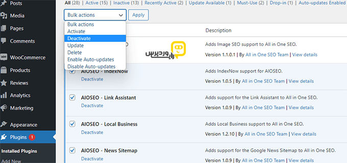 دی اکتیو کردن پلاگین های وردپرس - رایا وردپرس