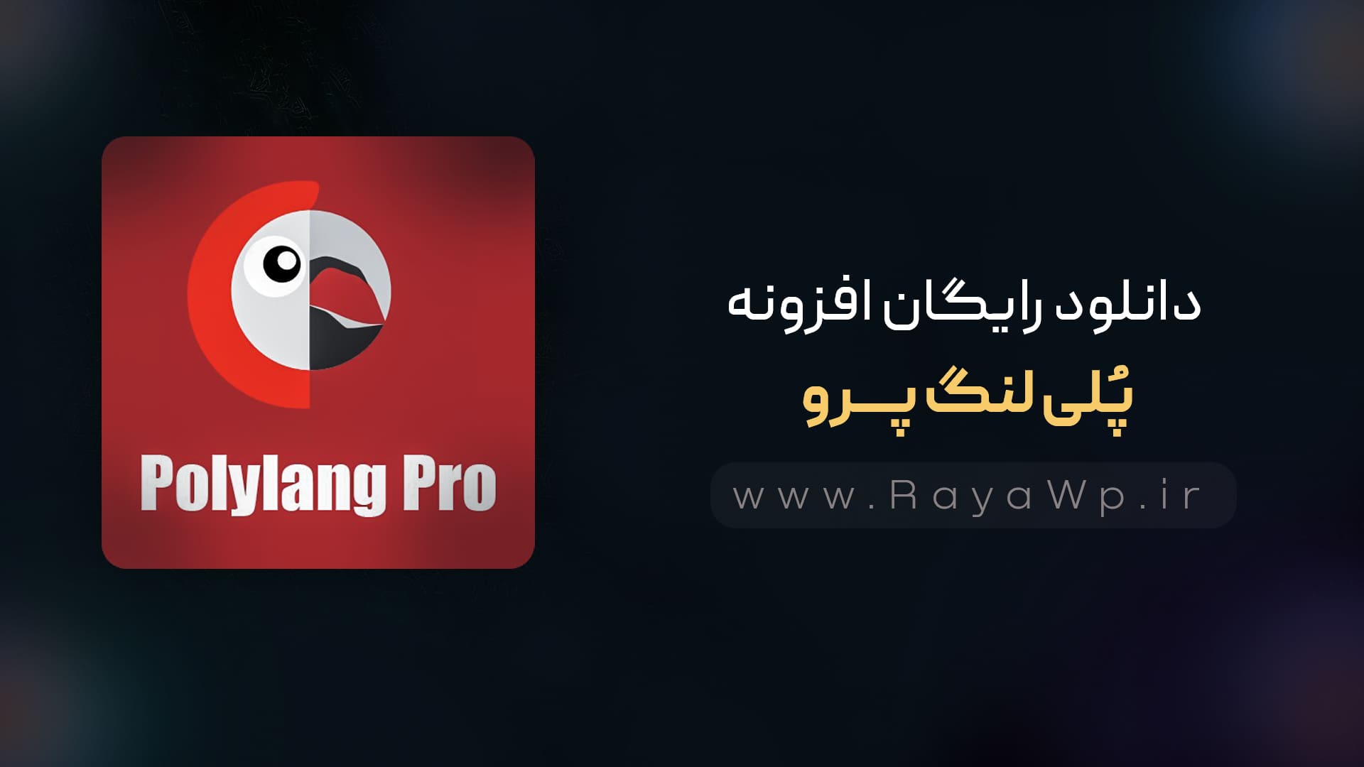 دانلود رایگان افزونه Polylang Pro، ترجمه خودکار وردپرس - رایا وردپرس