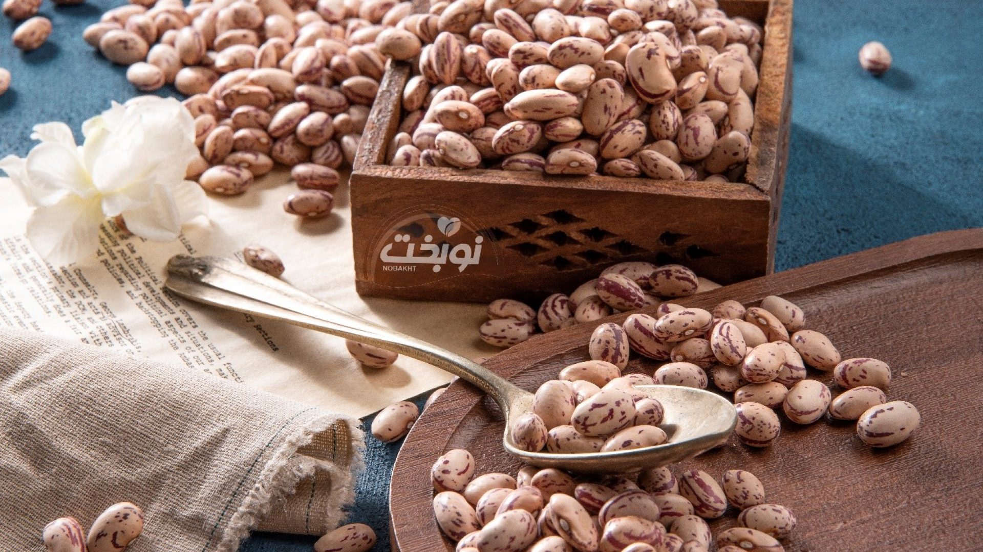 لوبیا چیتی ازبکستان؛ استاندارد طلایی صنعت کنسرو ایران - رایا وردپرس