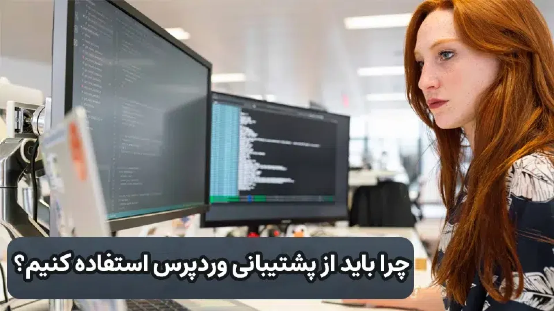 چرا باید از پشتیبانی وردپرس استفاده کنیم؟ - رایا وردپرس