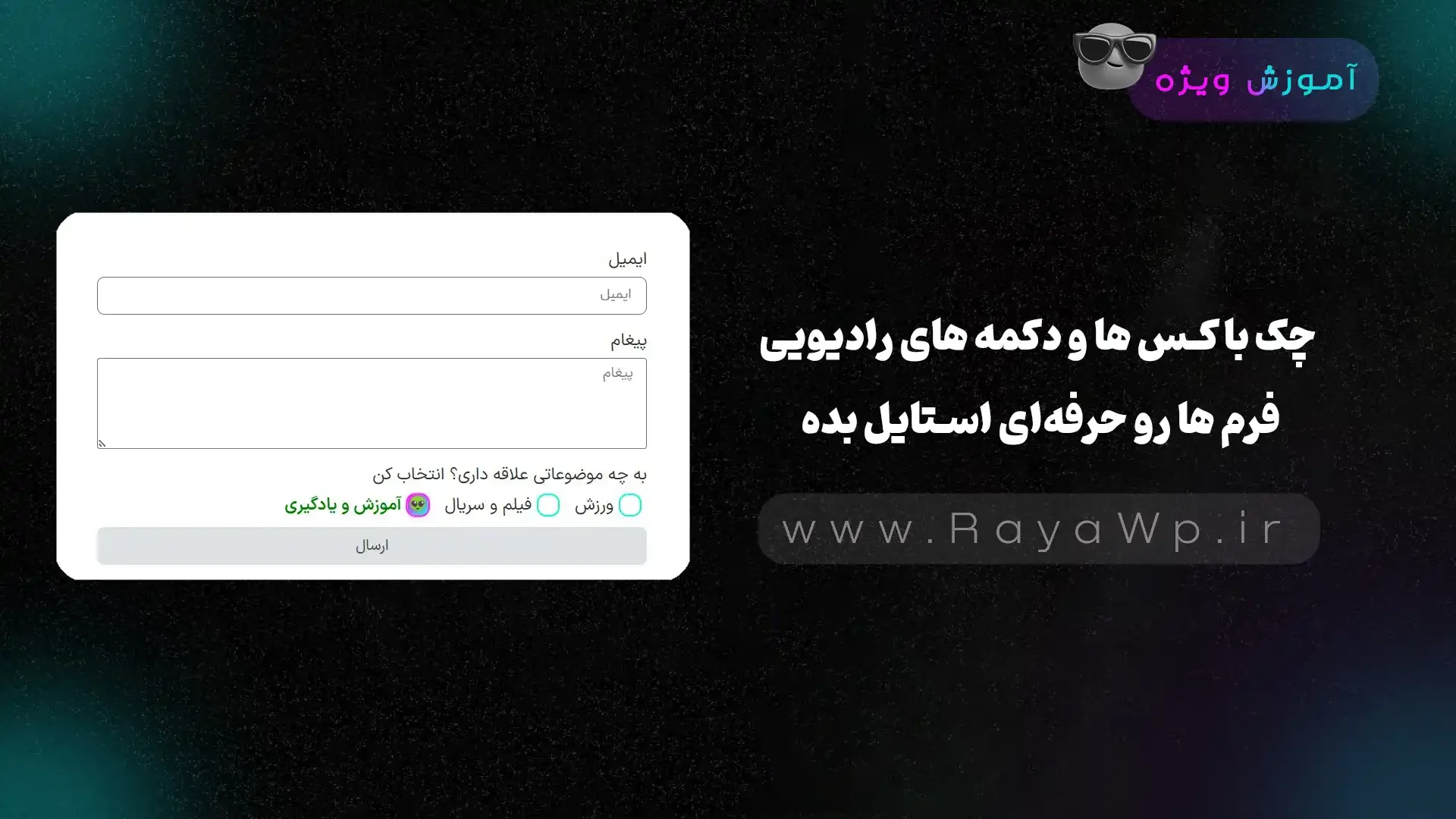 چک‌ باکس‌ ها و دکمه‌ های رادیویی فرم‌ ها رو حرفه‌ای استایل بده! - رایا وردپرس